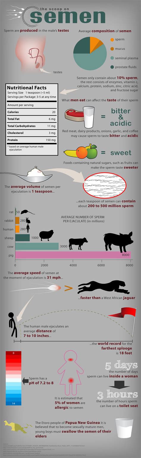 how many calories does semen have